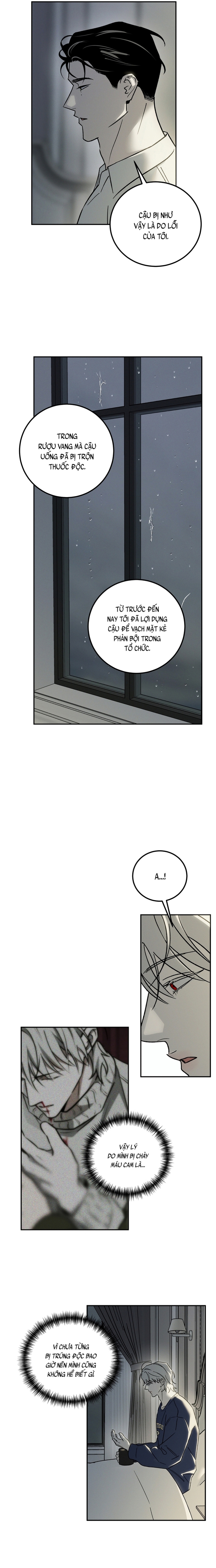 Vampire Homeless Chapter 8 - Trang 2