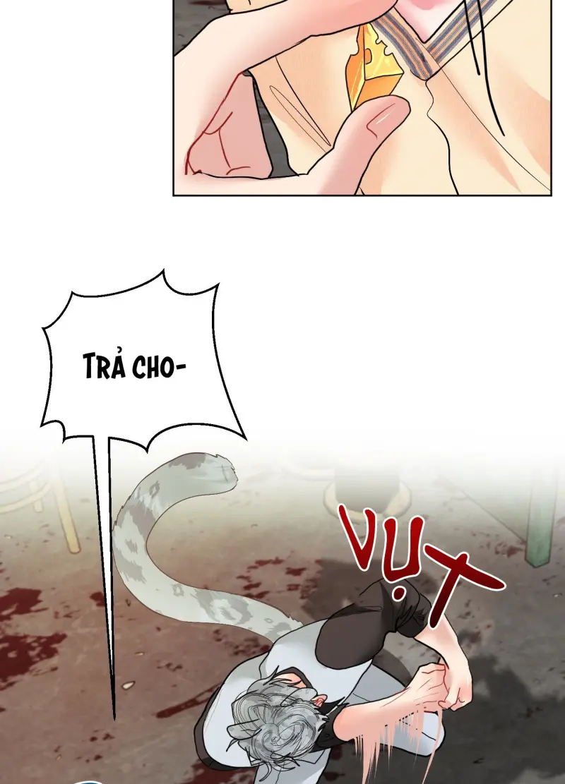 (ABO) Peppermint Candy Chapter 13 ngoại truyện đặc biệt - Next 