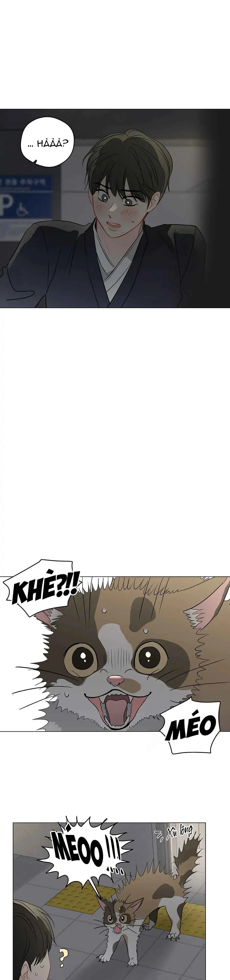 Liệu Rằng... Đây Có Phải Chỉ Là Một Giấc Mơ Không!? Chapter 51 - Next 