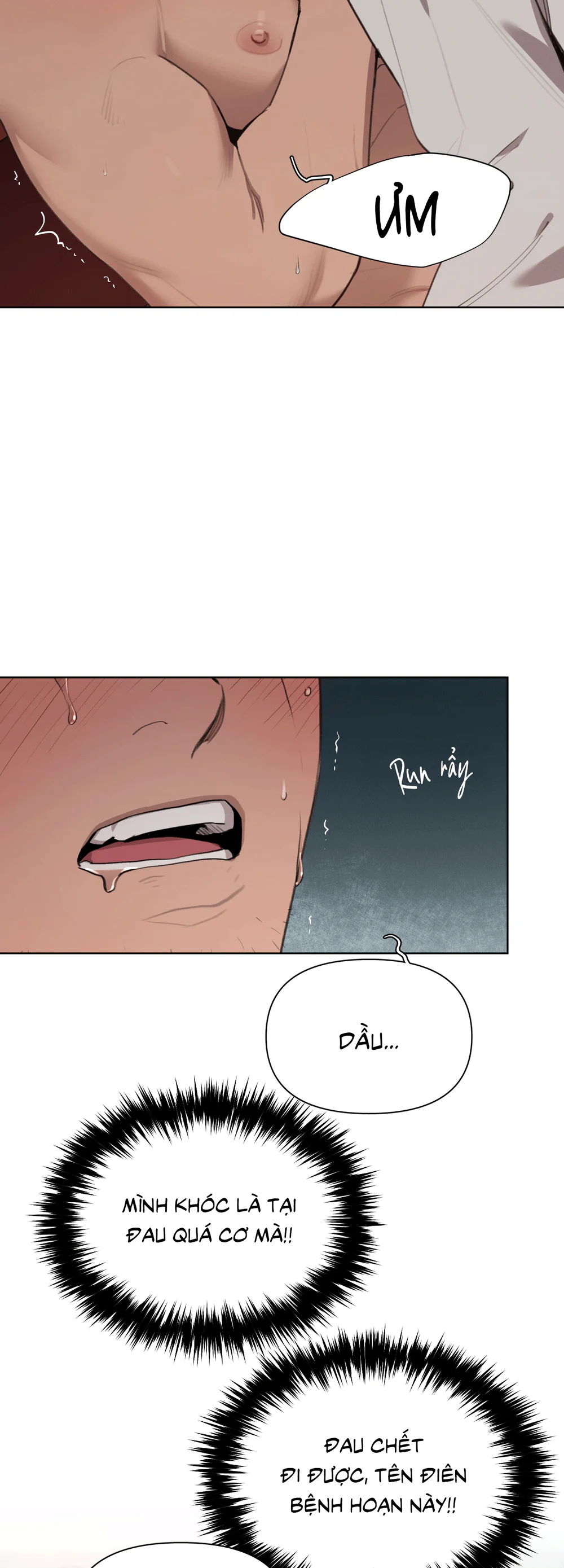 Plaything - Món đồ chơi của đại công tước Chapter 27 - Trang 2