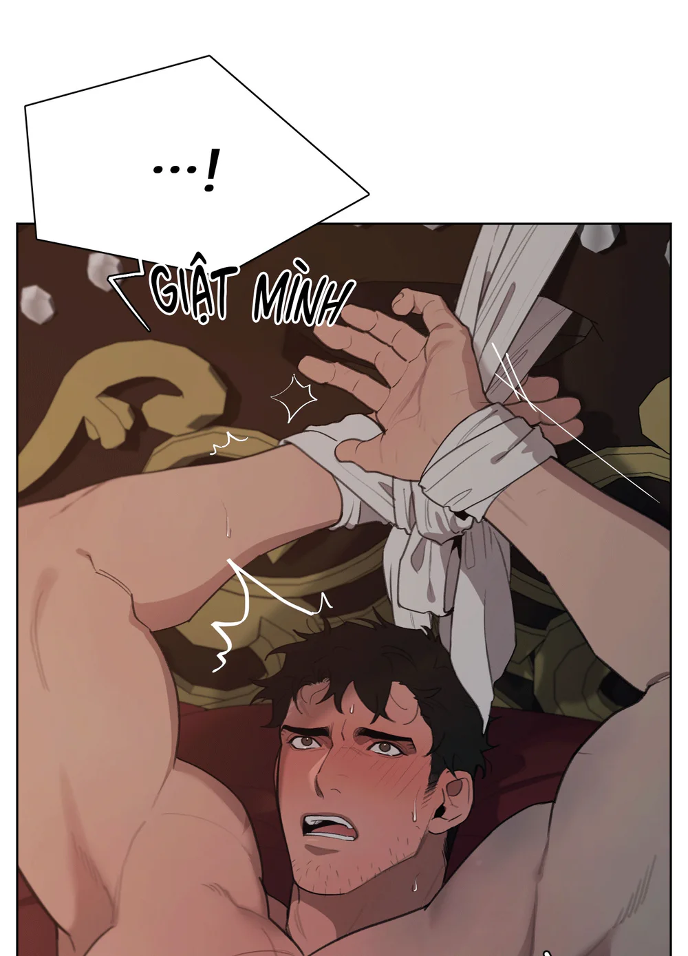 Plaything - Món đồ chơi của đại công tước Chapter 27 - Trang 2