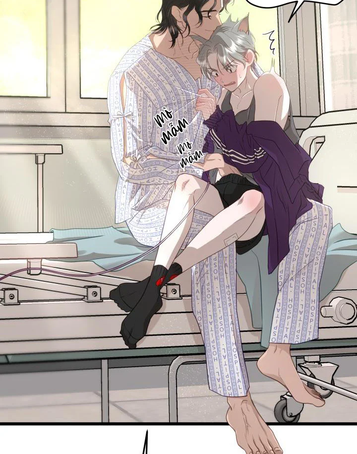 Tuyển Tập Sẽ Chết Nếu Không Làm Tình Chapter 8 - Next 