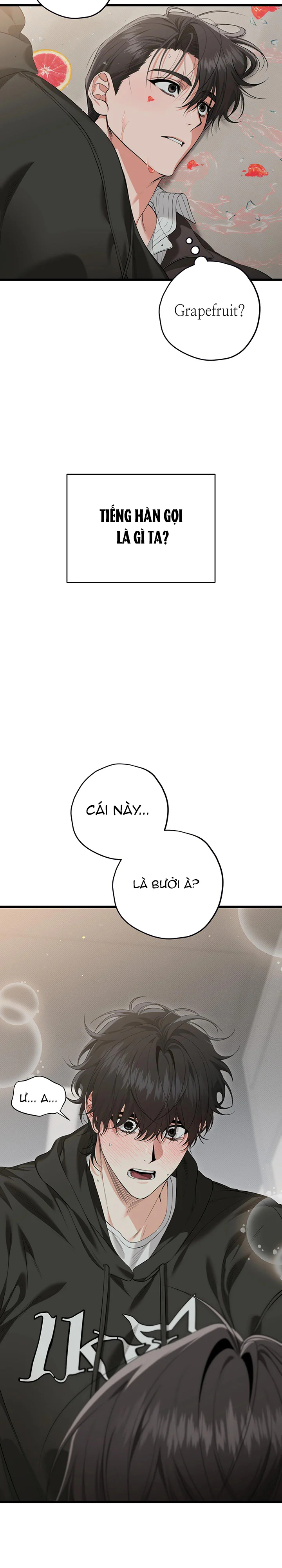 HÃY ĐÁNH TÔI THẬT MẠNH ĐI Chapter 4 - Trang 2