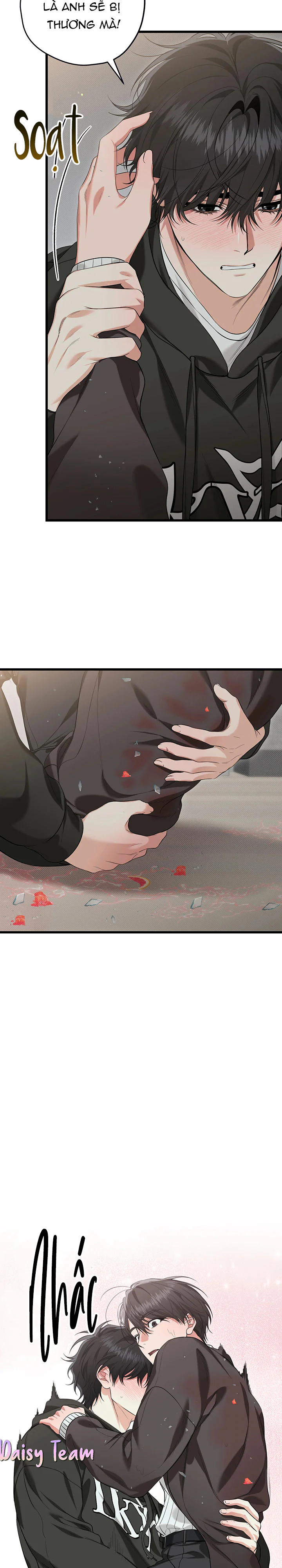 HÃY ĐÁNH TÔI THẬT MẠNH ĐI Chapter 4 - Trang 2