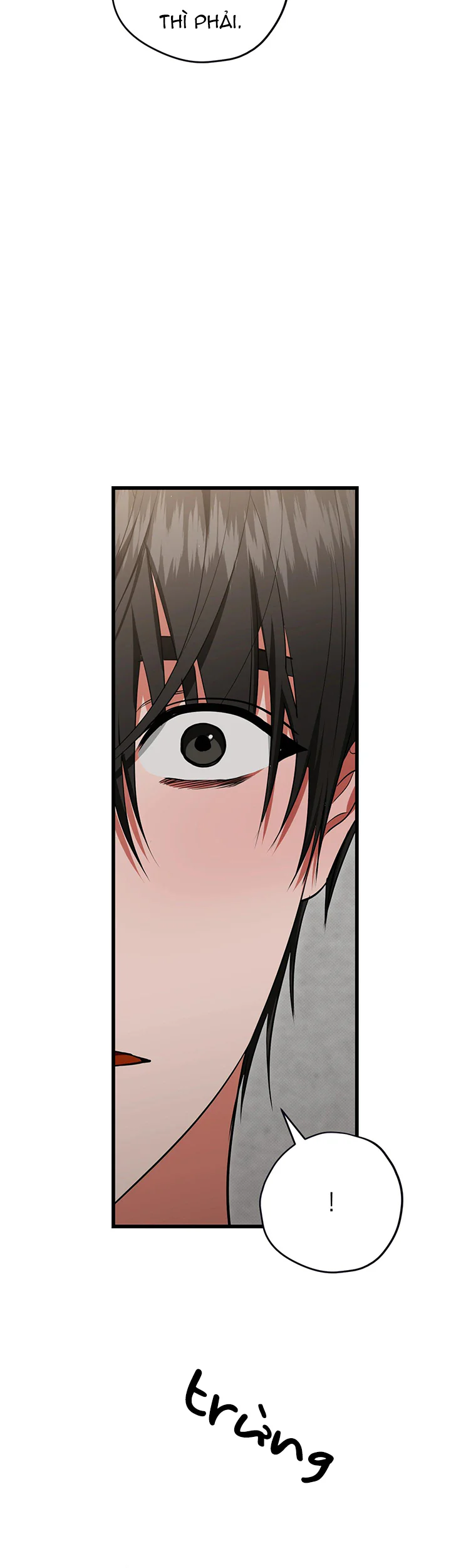 HÃY ĐÁNH TÔI THẬT MẠNH ĐI Chapter 5 - Trang 2