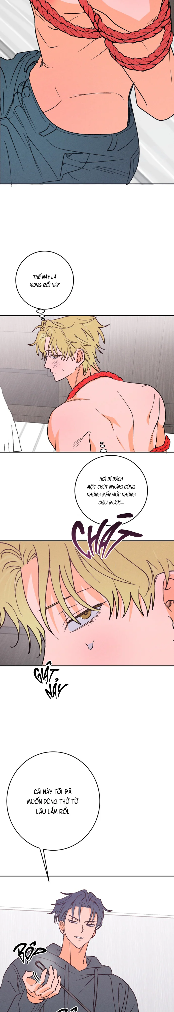 Bị Trói Buộc Chapter 6 H+ - Trang 2