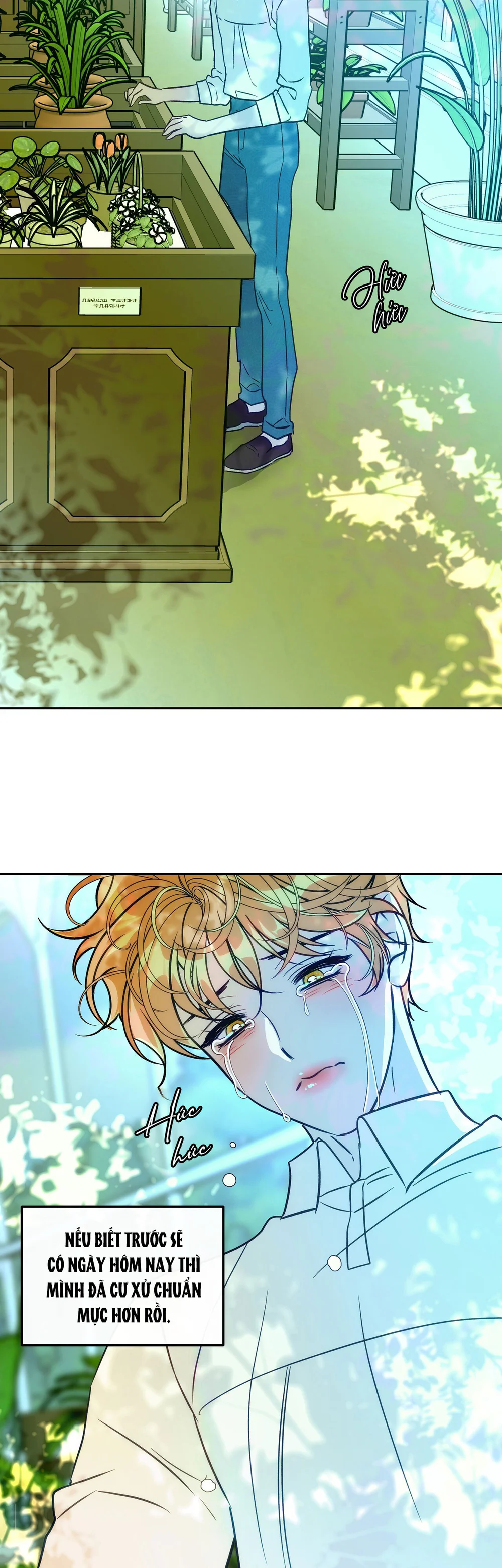 ORCA MANSION Chapter 11 - Trang 2