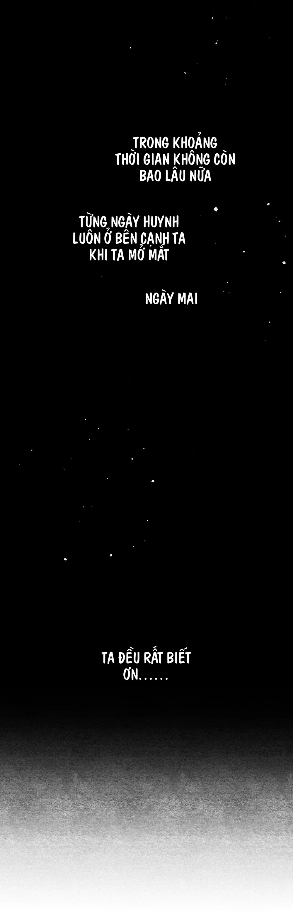 DUYÊN PHẬN Chapter 41 - Next 