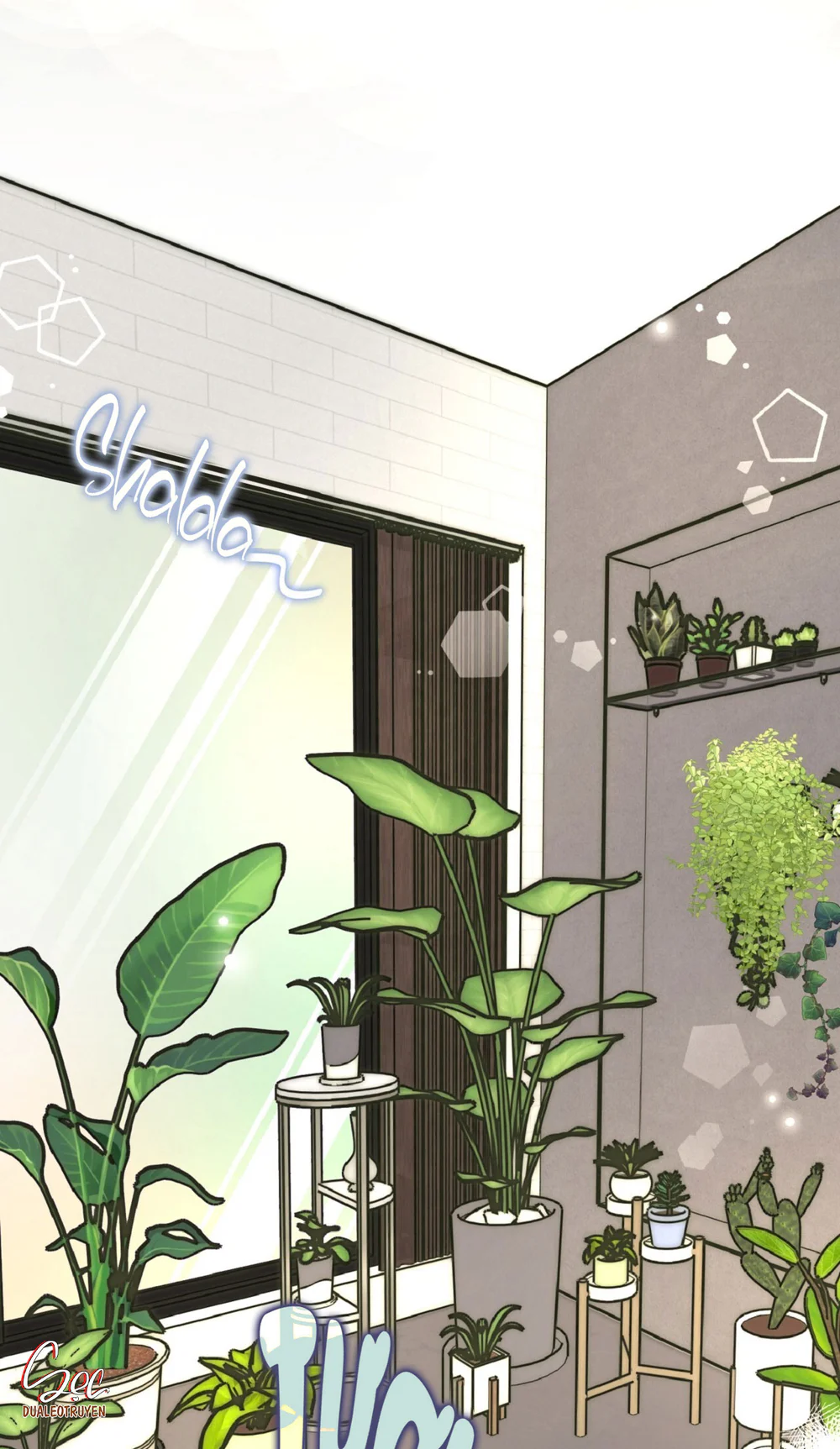 HONEY BEAR Chapter 80 - Next 