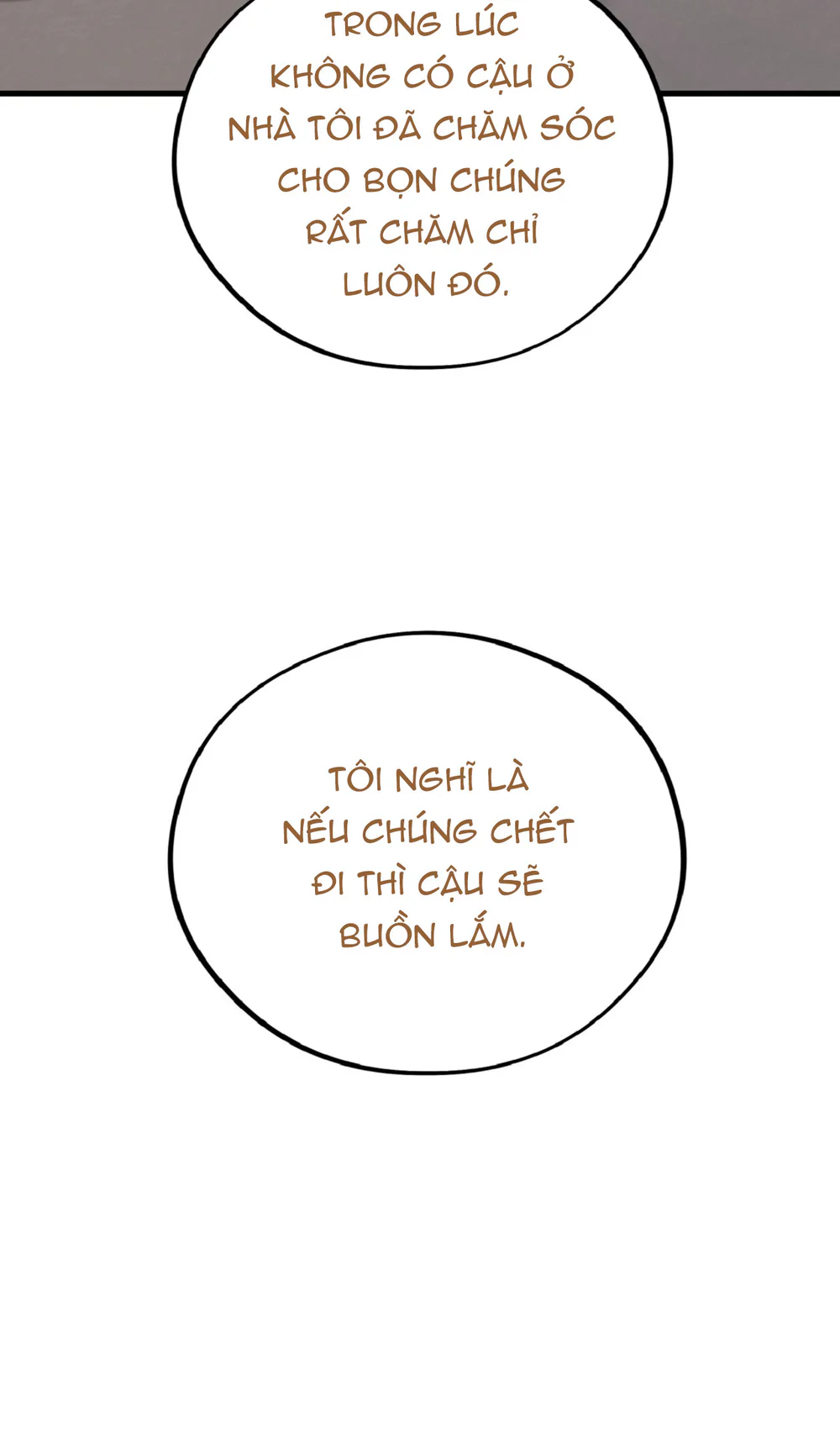 HONEY BEAR Chapter 80 - Next 