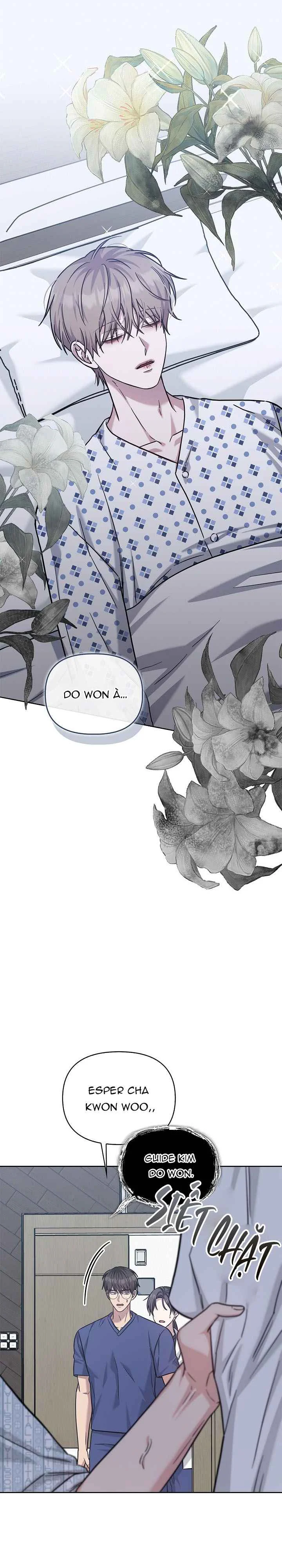 BẢN SAO ÂM HƯỞNG Chapter 81 - Next 