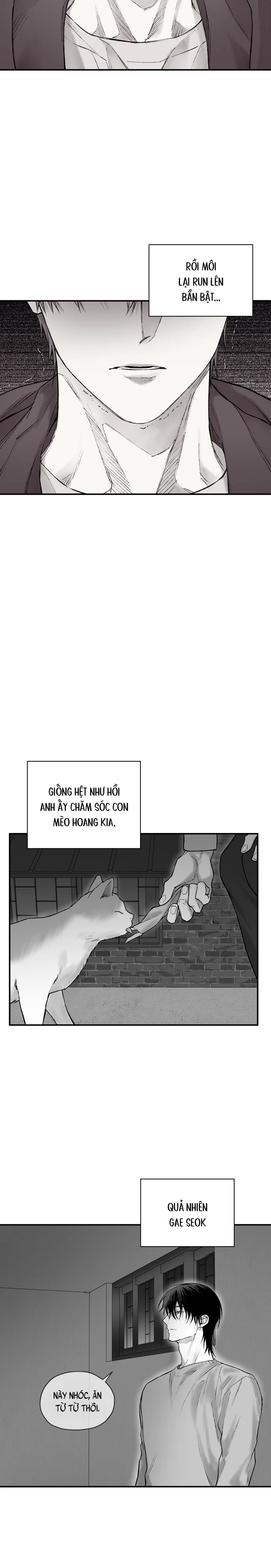 Gã Đàn Ông Dưới Căn Hầm Đang Bị Giam Cầm Trong Phòng Tôi Chapter 15 - Next Chapter 16