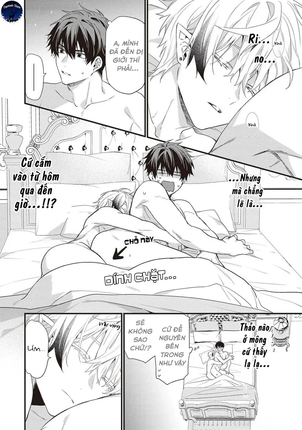 Chồng tôi là đỉnh của chóp Chapter 2.5 - Next Chapter 3