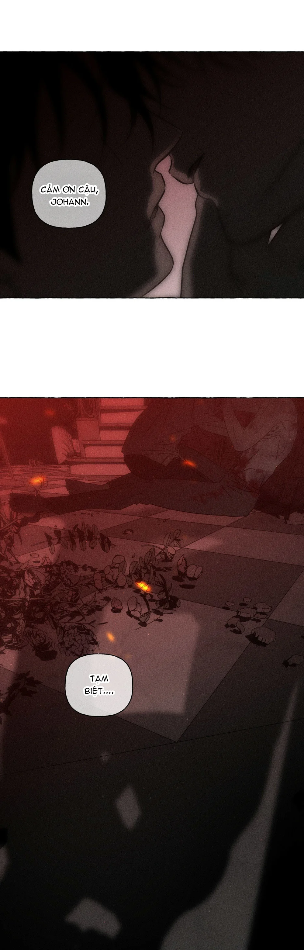 XƯƠNG VÀ CÁNH HOA Chapter 67 - Next Chapter 68