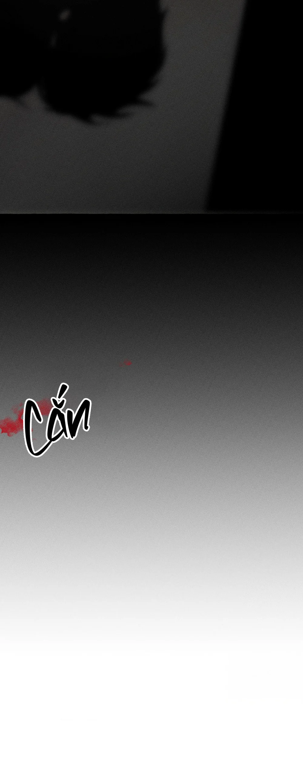 XƯƠNG VÀ CÁNH HOA Chapter 67 - Next Chapter 68