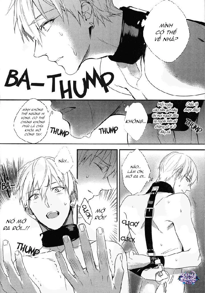 SERIES ĐỒ CHƠI TÌNH DỤC Chapter 3 19+ - Next Chapter 4 19+