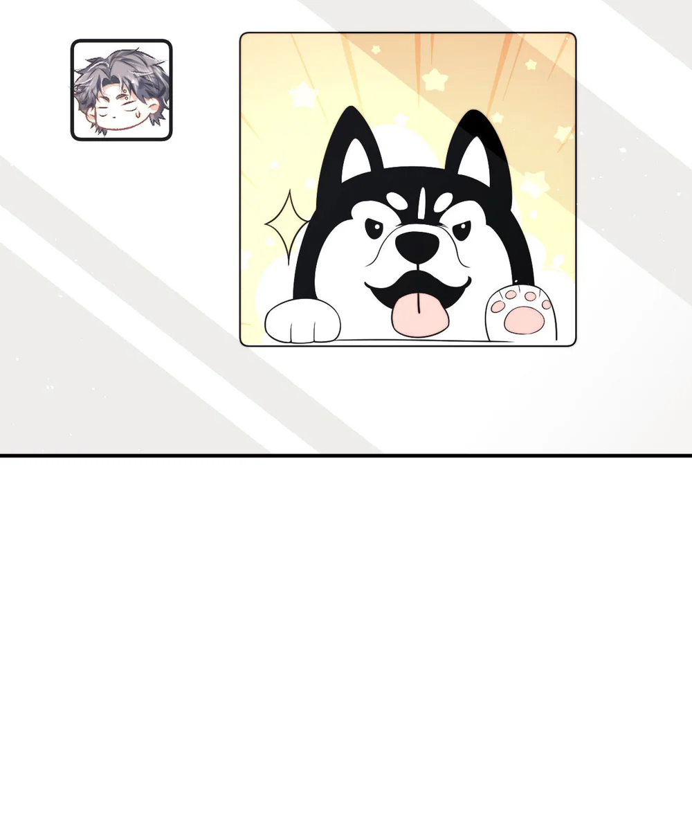 Chấp Sự Thỏ Tai Cụp Chapter 177 - Next Chapter 178