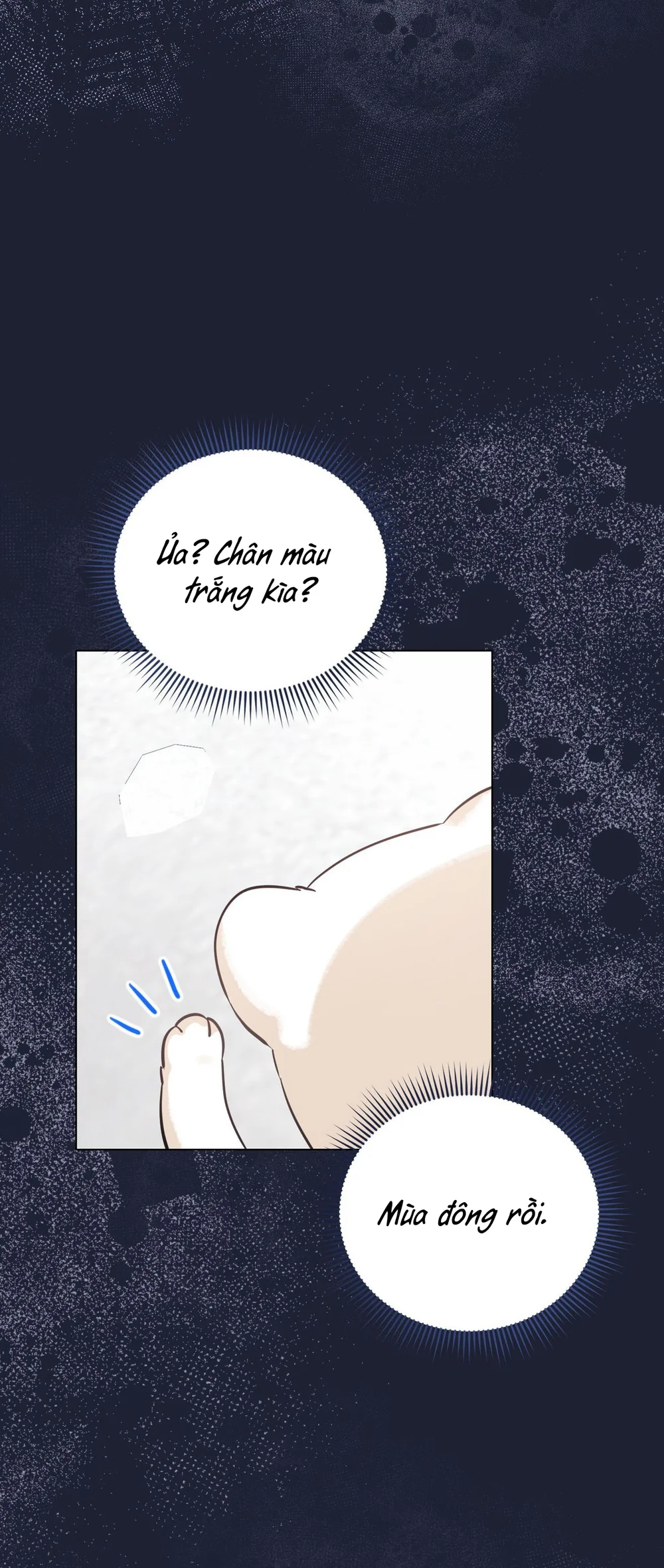 Cảnh Báo Thú Săn Mồi Chapter 4 - Next Chapter 5