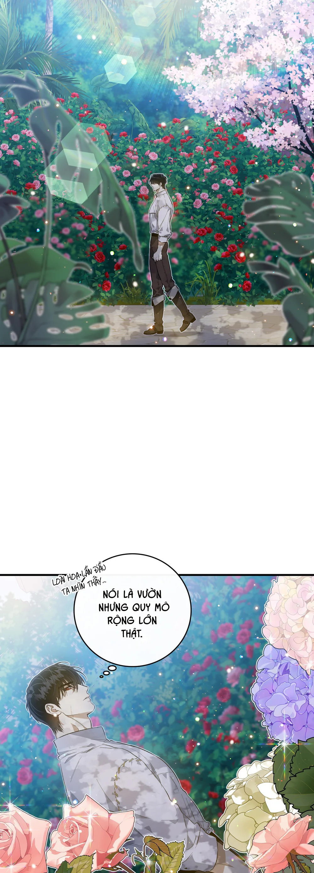 ĐÓA HOA NỞ TRONG ĐÊM TRẮNG Chapter 5 - Next Chapter 6