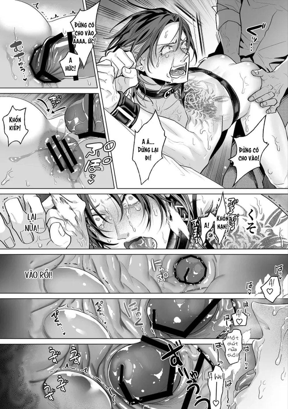 Cúc Ciu Full HD Chapter 53 - Next Chapter 54