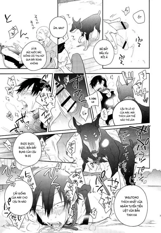 Đồ Chơi Tình Thú Chapter 25 - Next Chapter 26