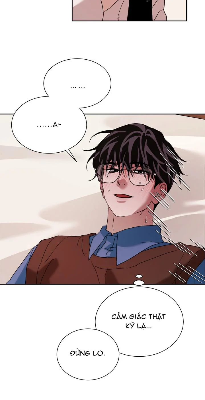 Cứ Đổ Lỗi Cho Tôi Cũng Được Chapter 3 H - Next Chapter 4 H+++++