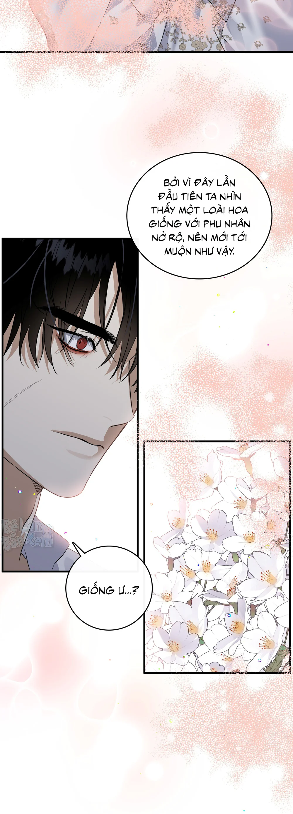 Con đường hoa trong đêm trắng Chapter 2 - Next Chapter 3