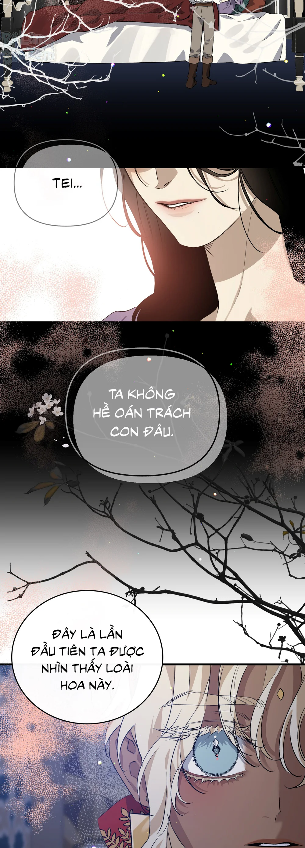 Con đường hoa trong đêm trắng Chapter 2 - Next Chapter 3