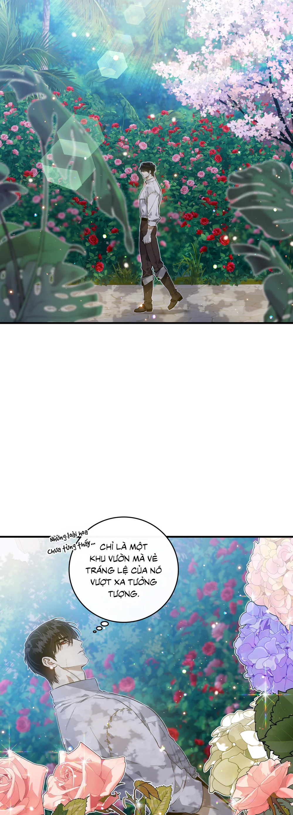 Con đường hoa trong đêm trắng Chapter 5 - Next Chapter 6