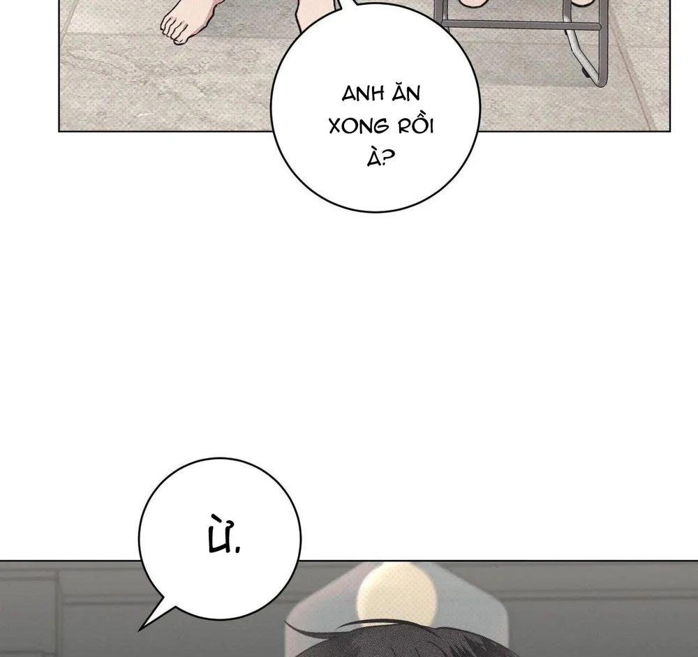 Định Mệnh Sai Lầm Chapter 15 - Next Chapter 16