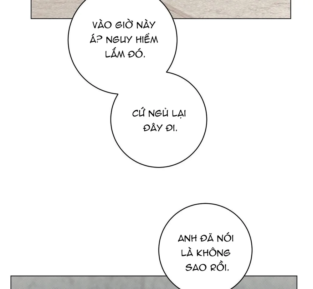 Định Mệnh Sai Lầm Chapter 15 - Next Chapter 16