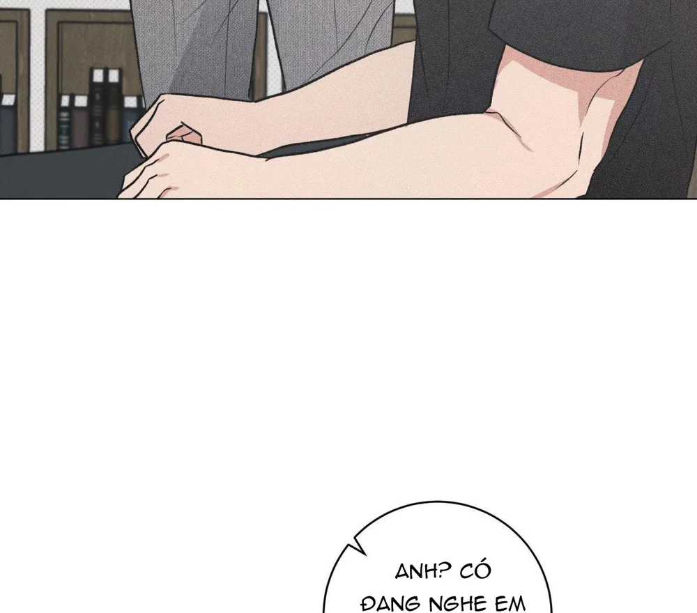 Định Mệnh Sai Lầm Chapter 15 - Next Chapter 16