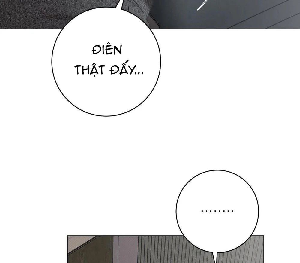 Định Mệnh Sai Lầm Chapter 15 - Next Chapter 16