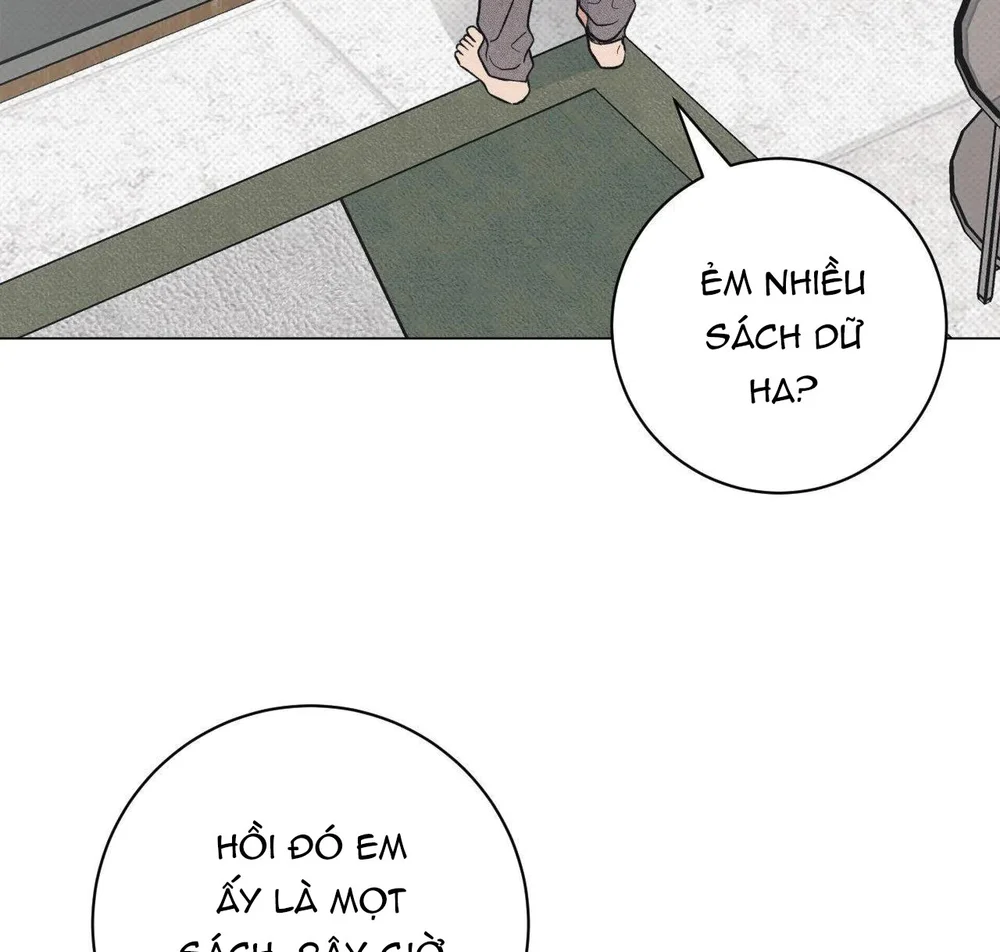 Định Mệnh Sai Lầm Chapter 15 - Next Chapter 16