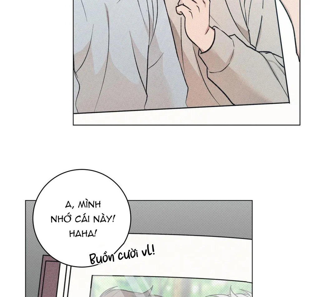 Định Mệnh Sai Lầm Chapter 15 - Next Chapter 16