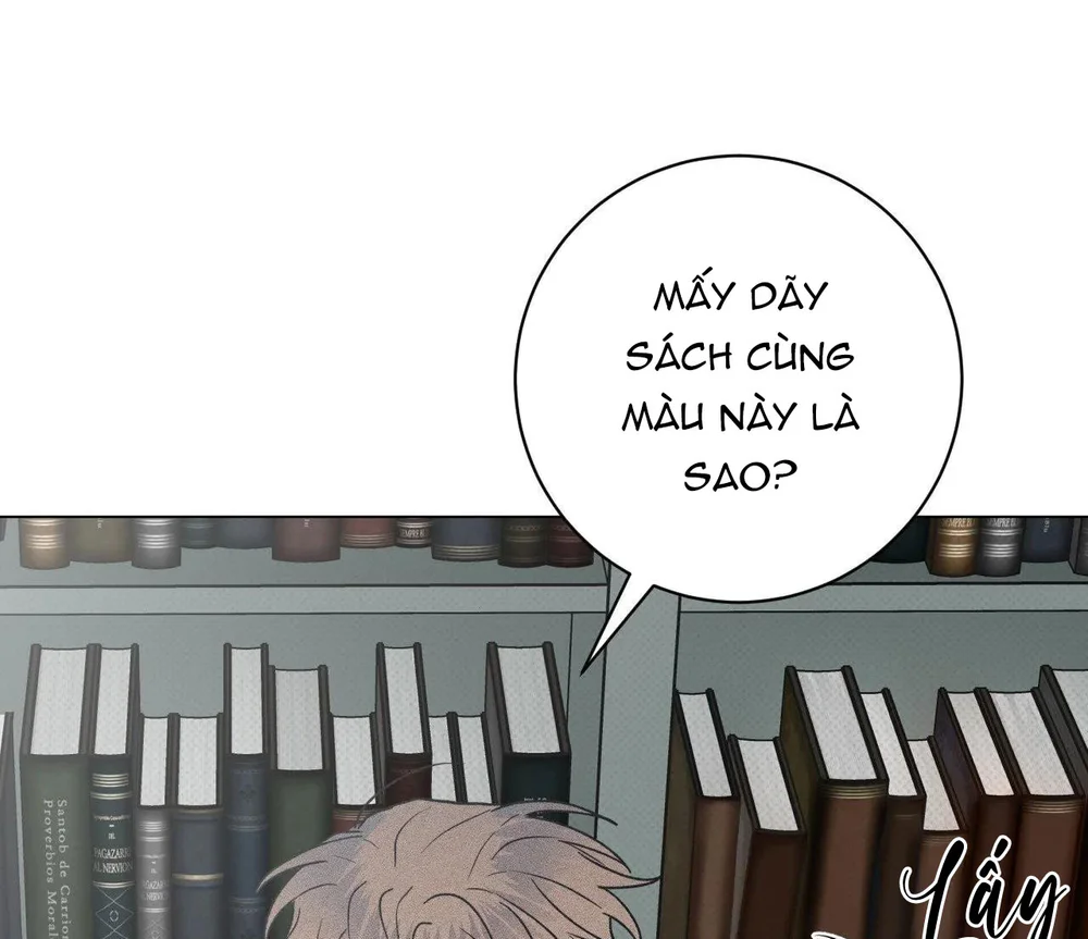 Định Mệnh Sai Lầm Chapter 15 - Next Chapter 16