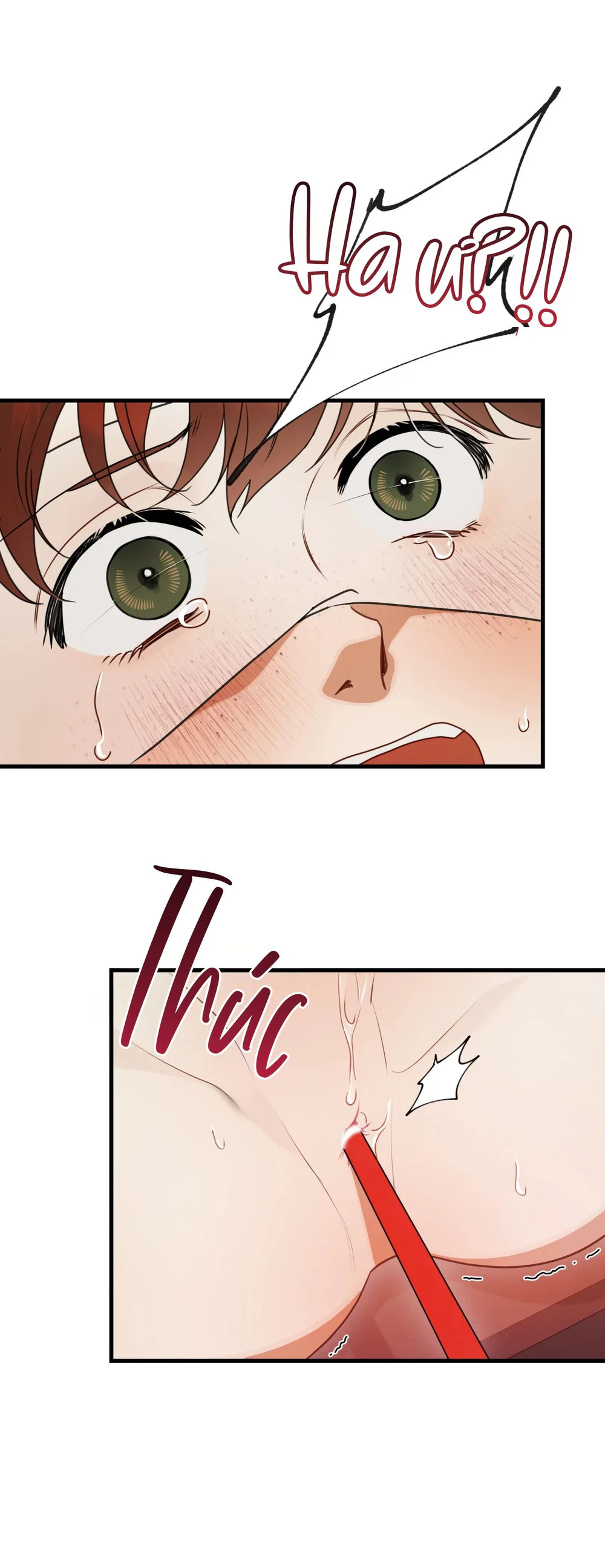 La Pirosa trong bảo tàng Chapter 4 - Next Chapter 5