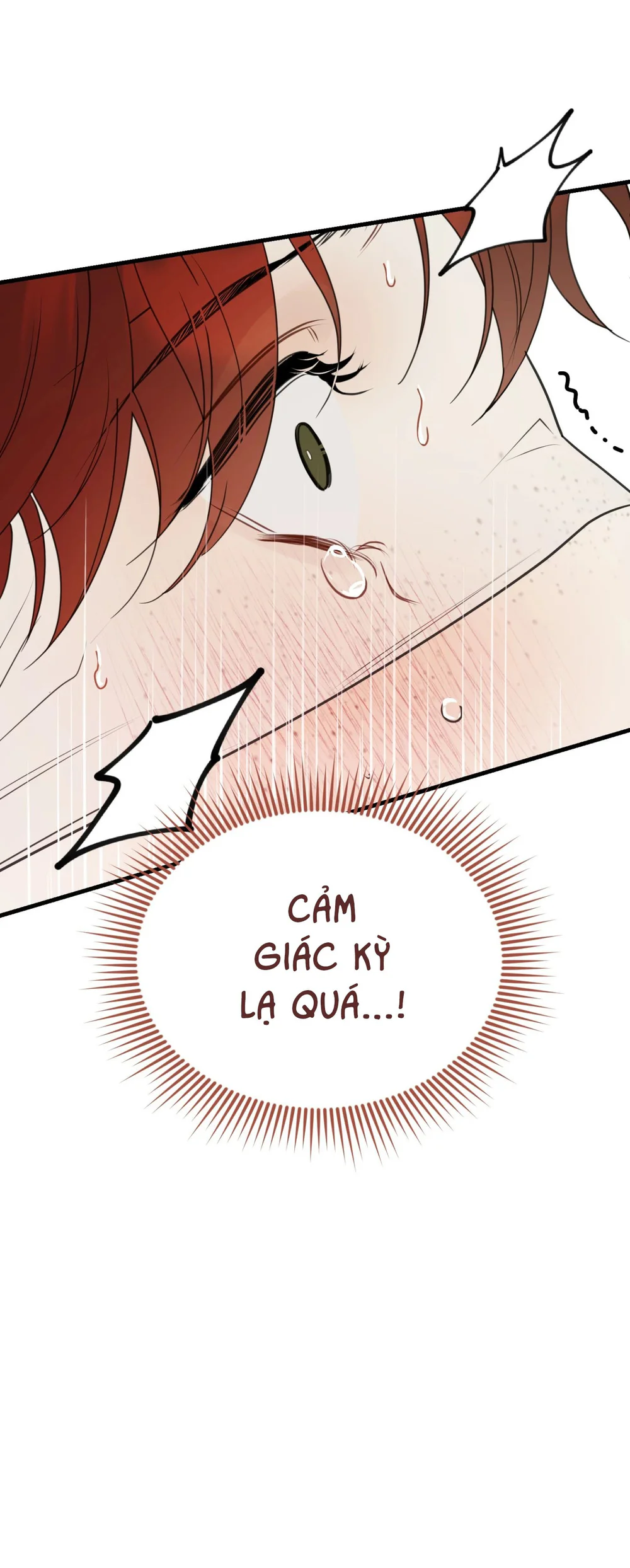 La Pirosa trong bảo tàng Chapter 4 - Next Chapter 5