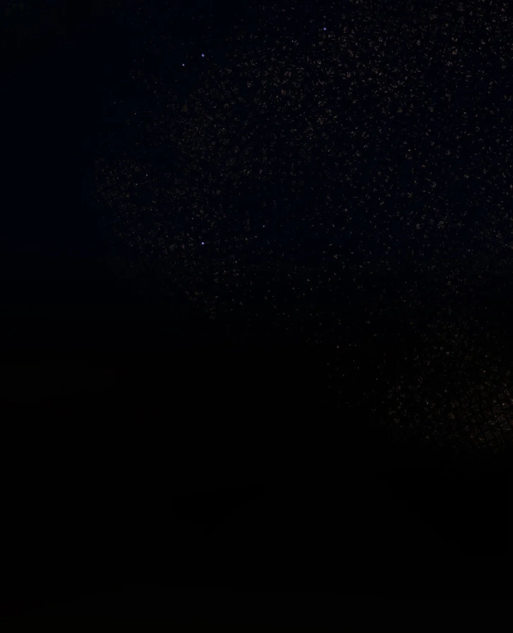 Tình yêu của kẻ khát máu Chapter 41 - Next Chapter 42