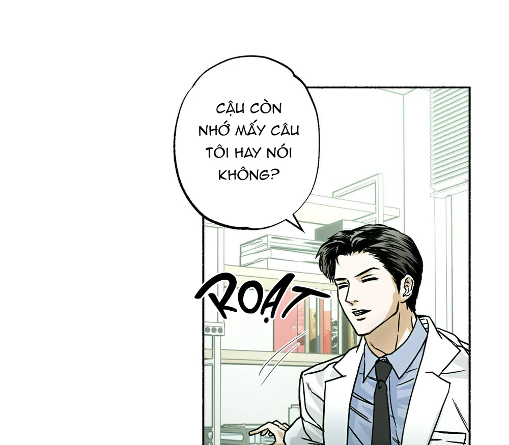 Hạnh Phúc Cùng Nhau Chapter 13 - Next Chapter 14