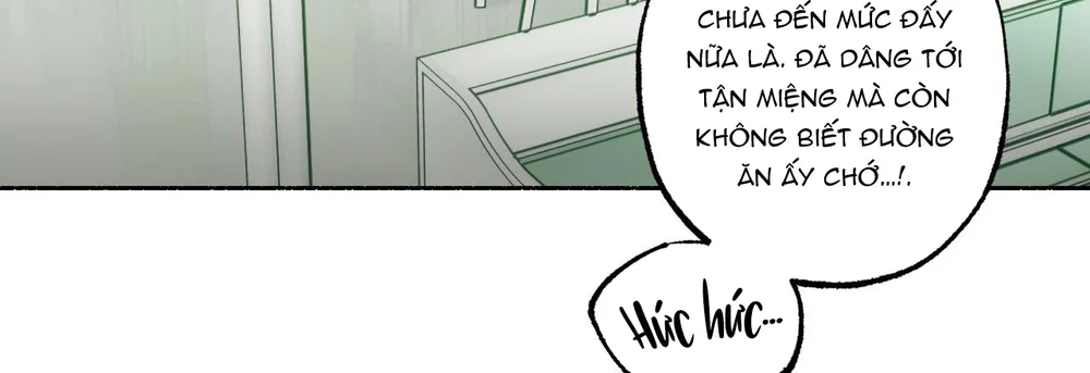 Hạnh Phúc Cùng Nhau Chapter 13 - Next Chapter 14