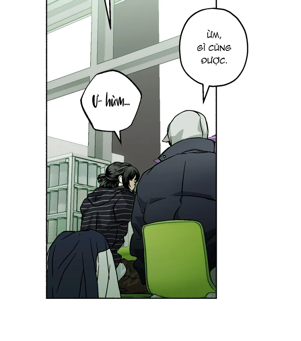 Hạnh Phúc Cùng Nhau Chapter 13 - Next Chapter 14