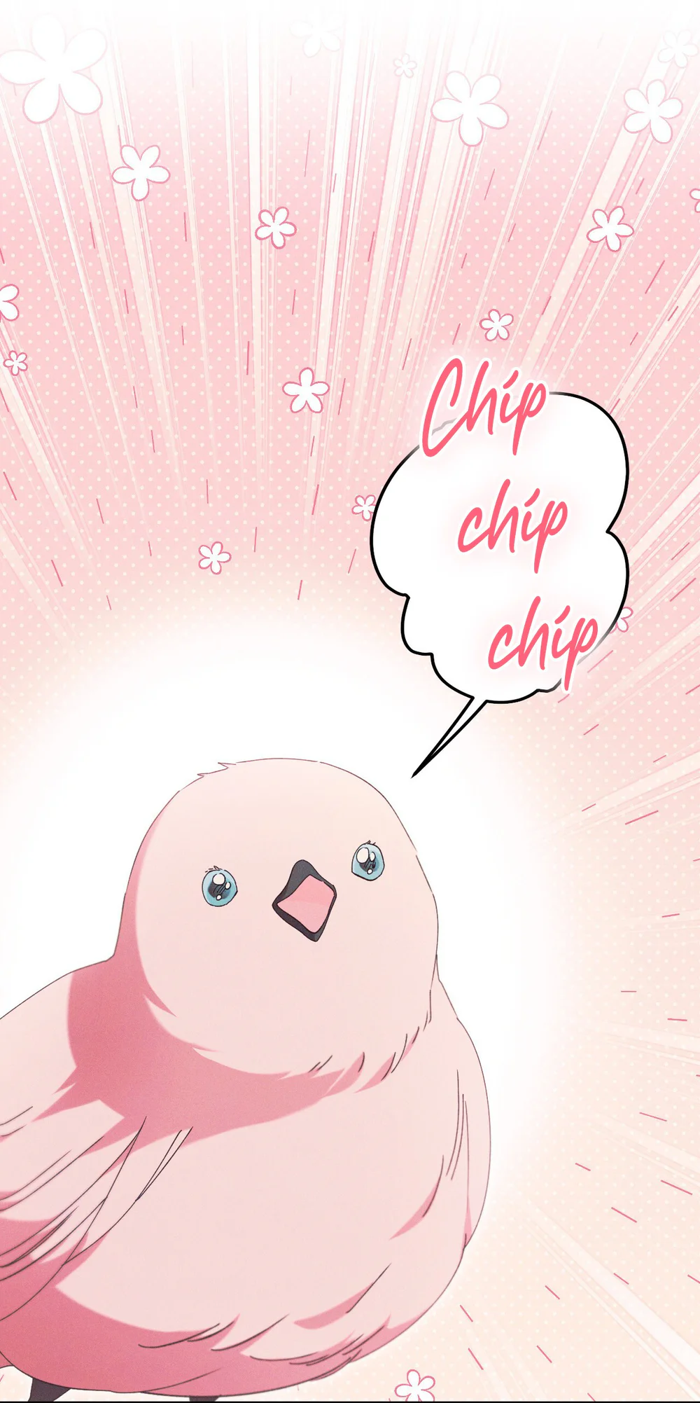 RẮN NUỐT LỰU Chapter 28 - Next Chapter 29