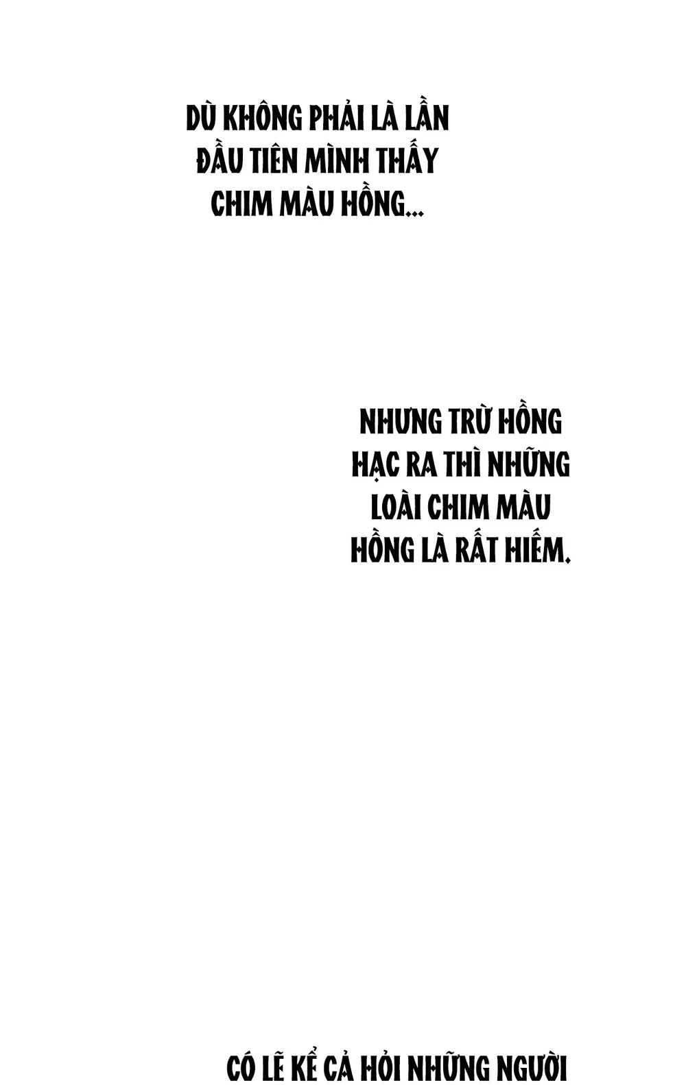 RẮN NUỐT LỰU Chapter 28 - Next Chapter 29