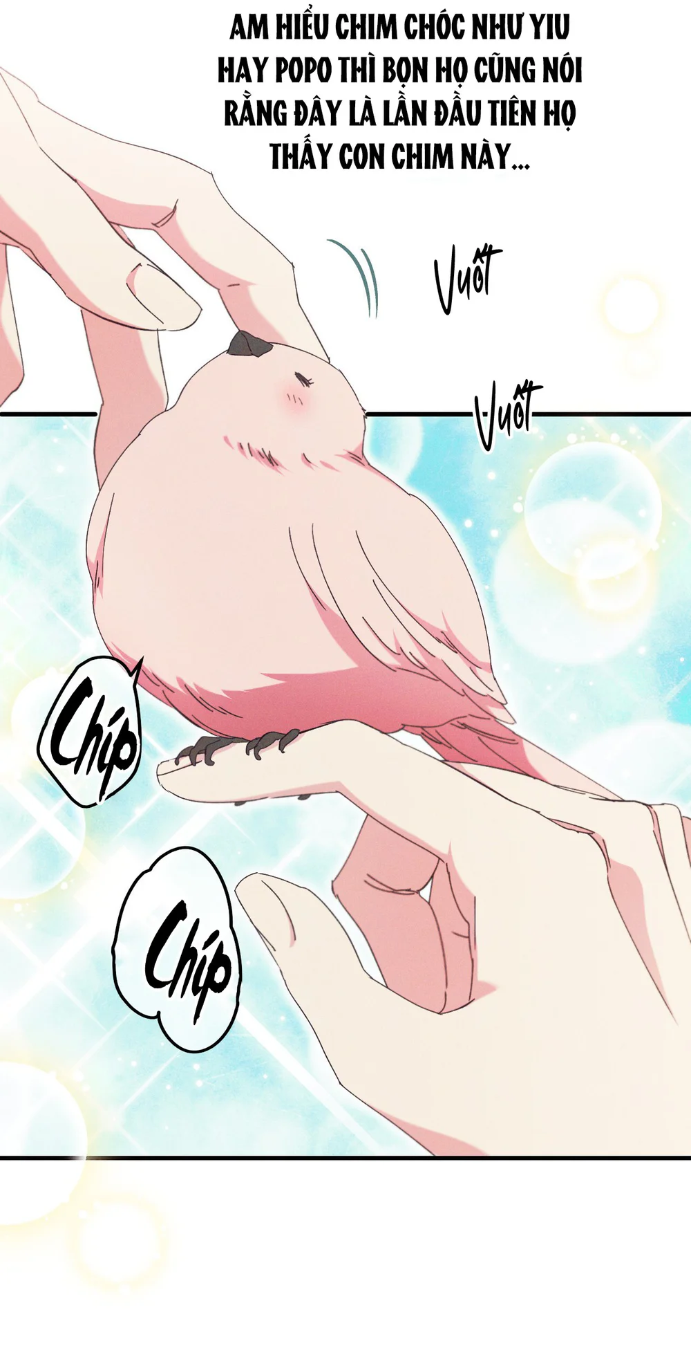 RẮN NUỐT LỰU Chapter 28 - Next Chapter 29