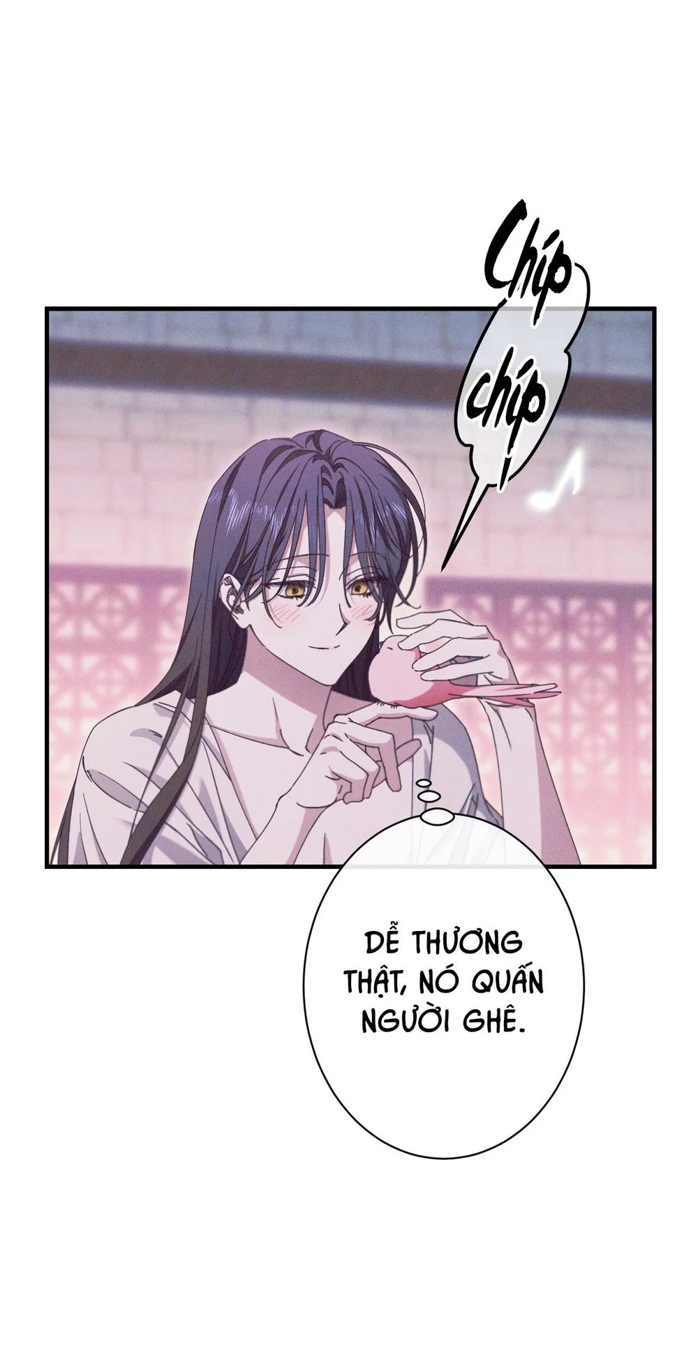 RẮN NUỐT LỰU Chapter 28 - Next Chapter 29