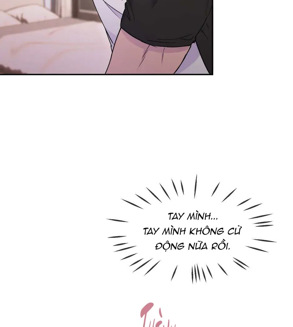 Nụ Hôn Định Mệnh Chapter 13 - Next Chapter 14