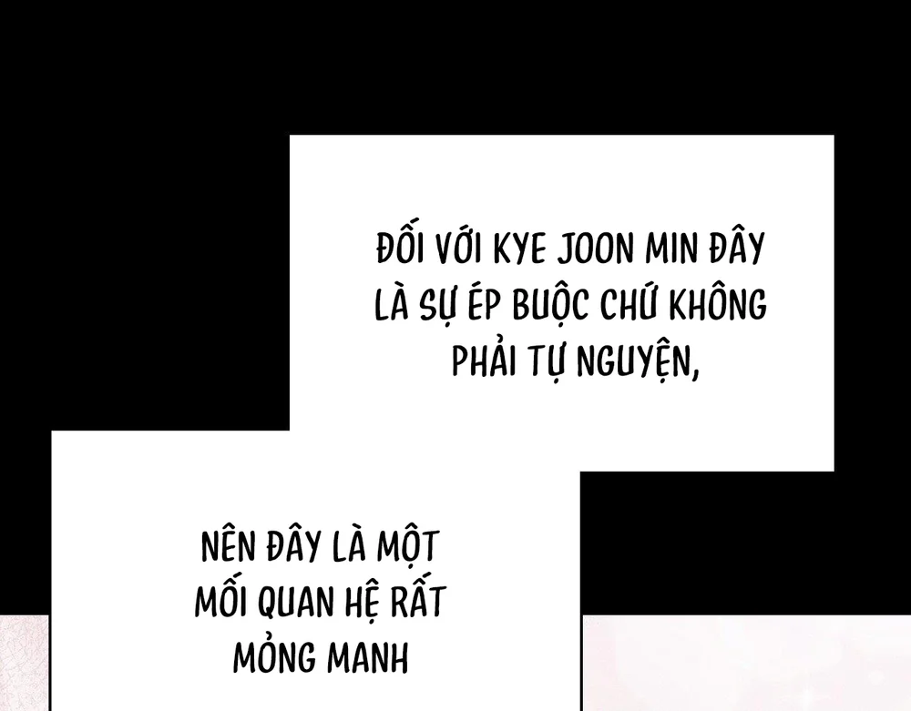 Dù Không Phải Guide Định Mệnh Của Cậu Chapter 29 - Next Chapter 30