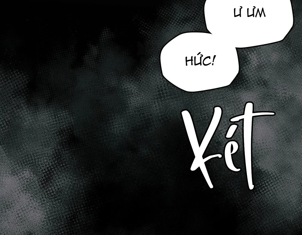 Dù Không Phải Guide Định Mệnh Của Cậu Chapter 29 - Next Chapter 30