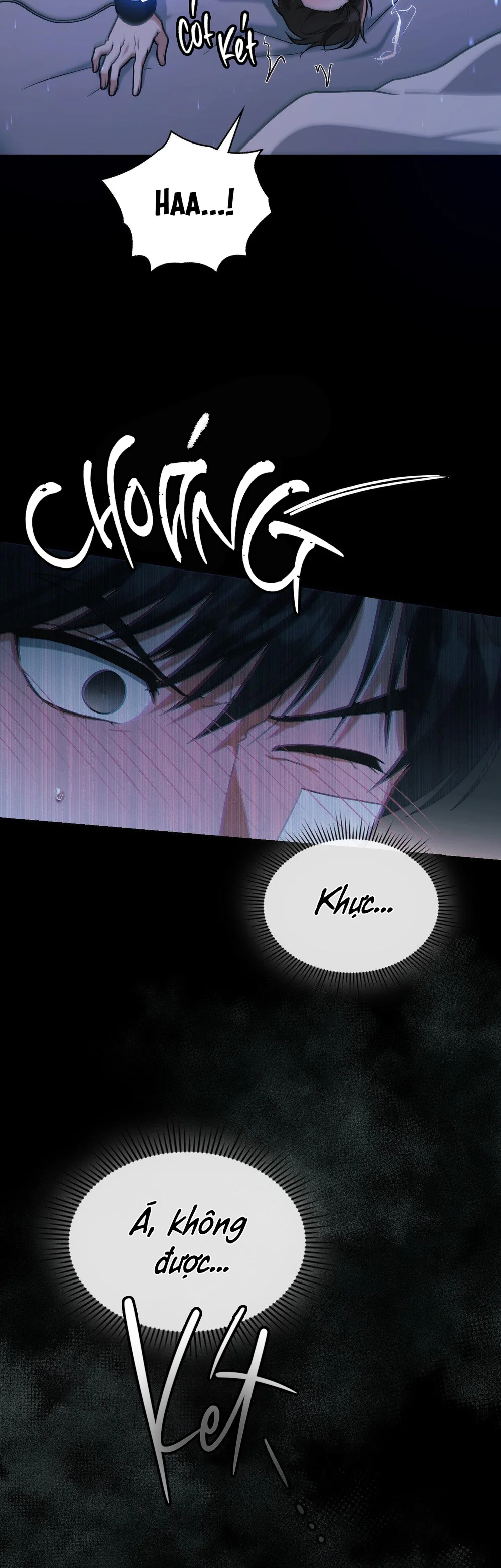 Dù Không Phải Guide Định Mệnh Của Cậu Chapter 29 - Next Chapter 30